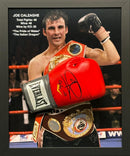 JOE CALZAGHE PERSONALLY SIGNED RIGHT HANDED BOXING GLOVE FRAMED IN A ACRYLIC DOME FRAME., PORTRAIT SIGNATURE. PLM581-DFB1