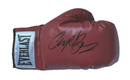 NIGEL BENN PERSONALLY SIGNED EVERLAST BOXING GLOVE  - RIGHT HAND - LANDSCAPE SIGNATURE PLM794