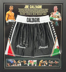 JOE CALZAGHE HAND SIGNED ' ROY JONES JR' FIGHT REPLICA FRAMED BOXING SHORTS PLM923-BFB1