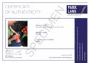 CERTIFICATE OF AUTHENTICITY