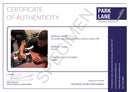 CERTIFICATE OF AUTHENTICITY